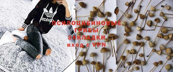 apvp Абинск