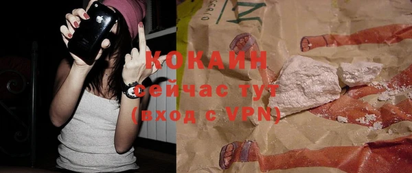 соль ск Абаза