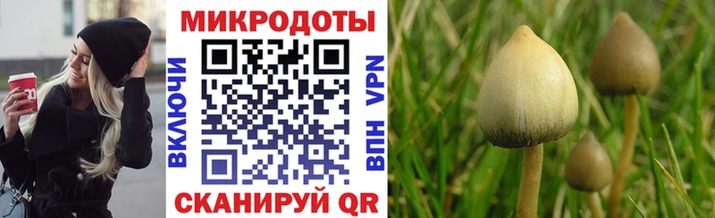Галлюциногенные грибы прущие грибы  наркошоп  Дубовка 