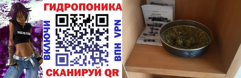Бошки Шишки семена  купить наркоту  Дубовка 